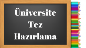 Tez nedir (43) – Çizimler – Tez Danışmanlık – Tez Yaptırma