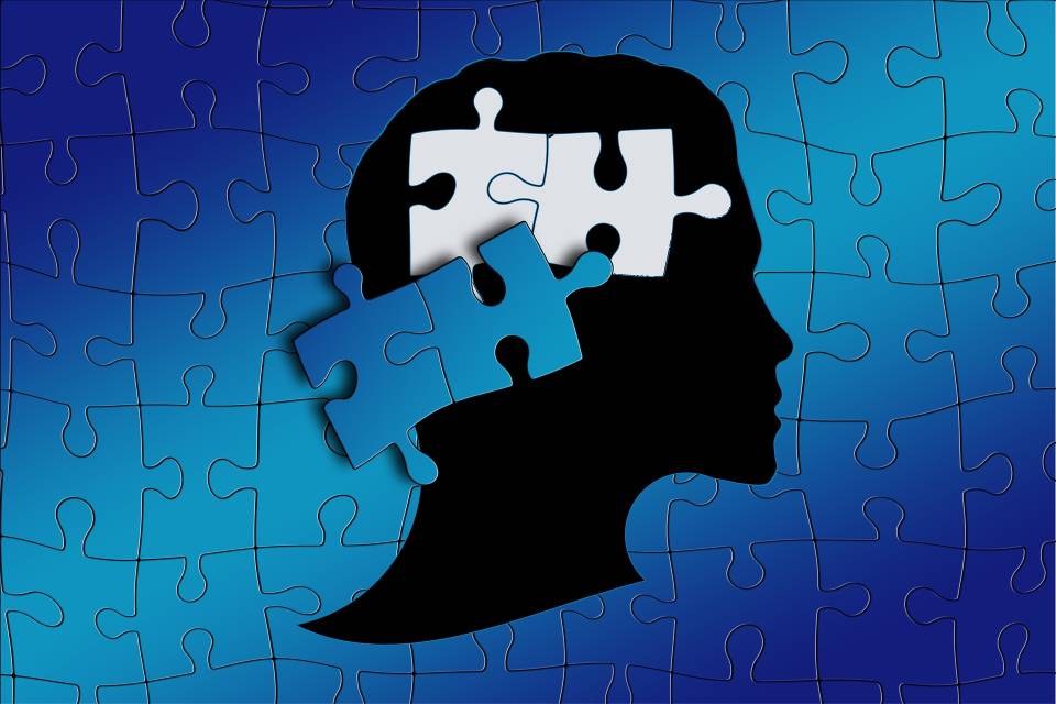 Kendini Belirleme Teorisi – Psikolojide Kişilik Çalışması – Kişilik Çalışması Nedir ? – Psikoloji Alanında Ödev Yaptırma – Psikolojide Kişilik Çalışması – Ödev Yaptırma Fiyatları