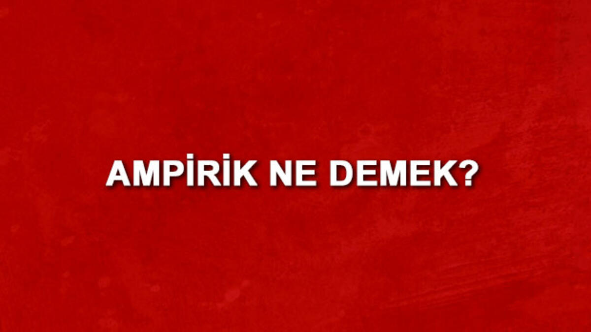 Read more about the article Ampirik Gereksinimler – Felsefe Üzerine Araştırmalar – Felsefenin Alanları Nelerdir? – Felsefe Nasıl İncelenir – Felsefe Alanında Ödev Yaptırma – Ödev Yaptırma Fiyatları