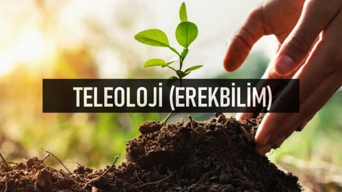 Teleolojik Açıklamalar – Felsefe Üzerine Araştırmalar – Felsefenin Alanları Nelerdir? – Felsefe Nasıl İncelenir – Felsefe Alanında Ödev Yaptırma – Ödev Yaptırma Fiyatları