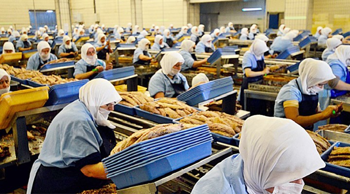 Uygulamalı Gıda Üretim İşçileri – İş Sağlığı ve Güvenliği Ödevleri – İş Sağlığı ve Güvenliği Tez Yaptırma – İSG – İş Sağlığı ve Güvenliği Tez Yaptırma Ücretleri | En İyi Essay Uygulamalı Gıda Üretim İşçileri – İş Sağlığı ve Güvenliği Ödevleri – İş Sağlığı ve Güvenliği Tez Yaptırma – İSG – İş Sağlığı ve Güvenliği Tez Yaptırma Ücretleri