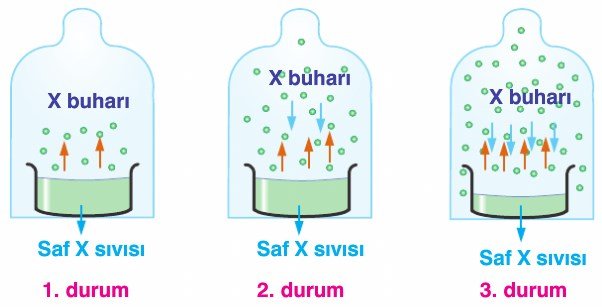 Buhar Basıncı – İş Sağlığı ve Güvenliği Tez Yaptırma – İSG – İş Sağlığı ve Güvenliği Tez Yaptırma Ücretleri | En İyi Essay Buhar Basıncı – İş Sağlığı ve Güvenliği Tez Yaptırma – İSG – İş Sağlığı ve Güvenliği Tez Yaptırma Ücretleri